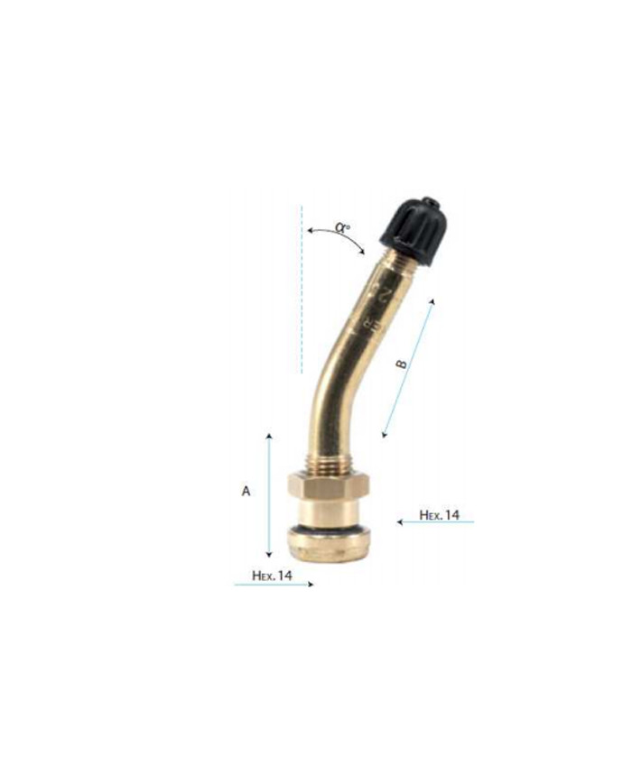 VALVOLA TUBELESS AUTOCARRO 1 CURVA