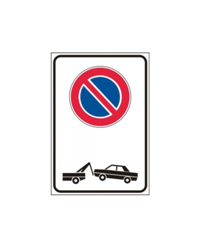 CARTELLO FIGURA 79 CM.40X60 FERRO R1