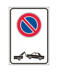 CARTELLO FIGURA 79 CM.40X60 FERRO R1