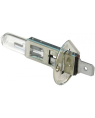 LAMPADA H1