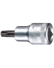 BUSSOLA 1/4 CON INSERTO TORX SATINATA