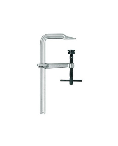 STRETTOIO A VITE GUIDA 25X12MM 300X140