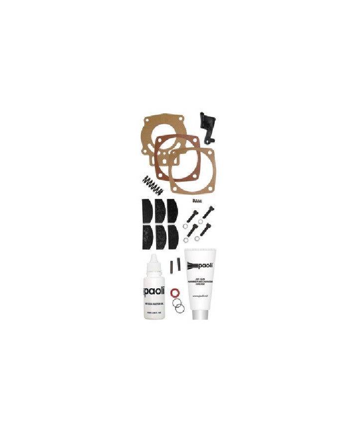 KIT REVISIONE DP 1800