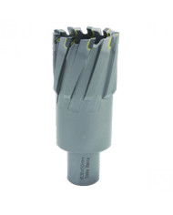 FRESA ATTACCO WELDON LUNGHEZZA MM 55